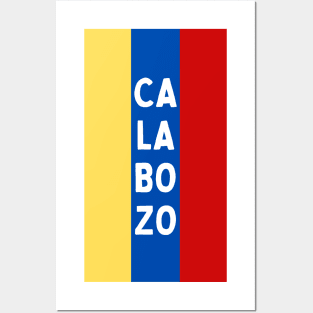 Calabozo City in Venezuelan Flag Colors Vertical Posters and Art